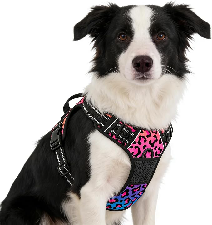 Rnivvi No Pull Dog Harness, Cute Leopard Reflective Medium Sized Puppy Kitten Harness, Adjustable Soft Padded Vest for Medium Dogs, Heavy Duty Pet Vest with Easy Control Handle for Walking, Neon by Rnivvi