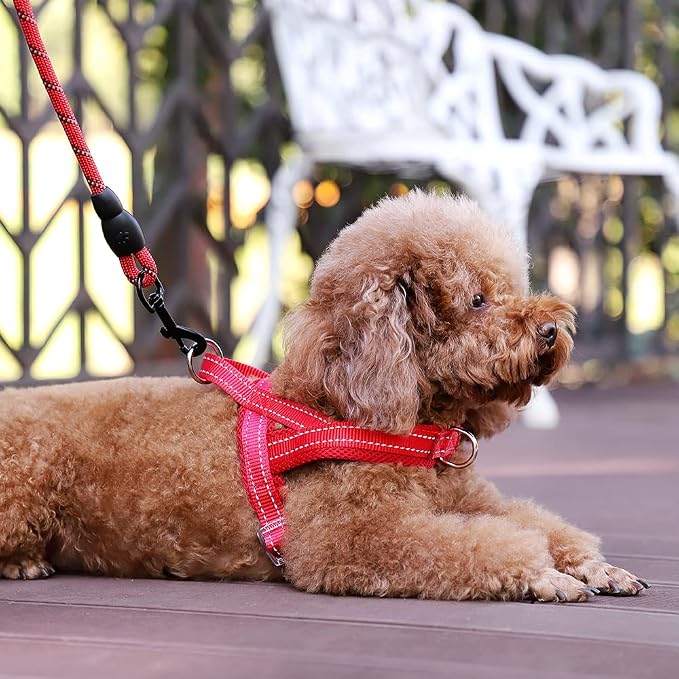 Plutus Pet No Pull Dog Harness for Puppy Small Dogs, Breathable Mesh Padded | Adjustable Reflective with Handle, Escape Proof, Quick Fit Pet Vest, Front Clip, for Training and Walking, Red, XS - Image 5