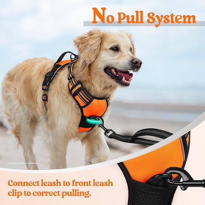 rabbitgoo Dog Harness, No Pull for Small Dogs with 2 Leash Clips, Pet Vest | No Choke with Handle, Adjustable Soft Padded, Reflective, Easy Control for Walking, Orange, Small - Image 5