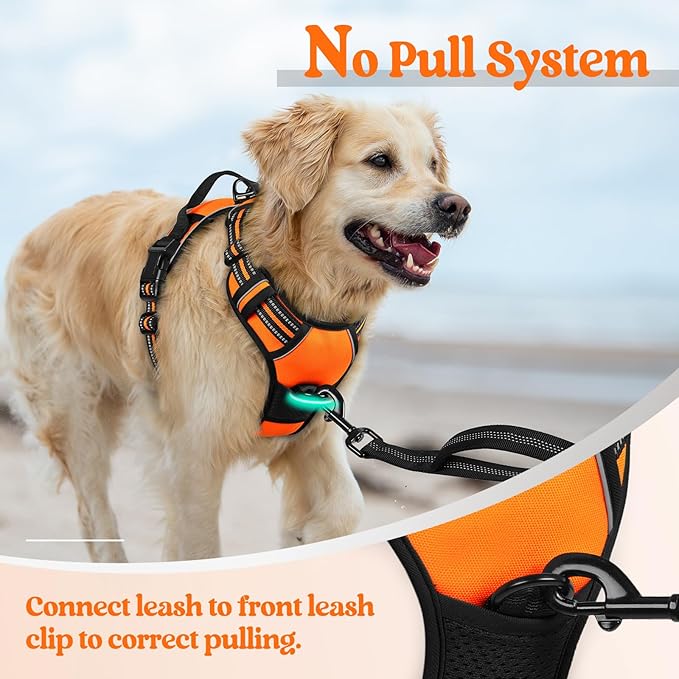 rabbitgoo Dog Harness, No Pull Medium Sized with 2 Leash Clips, Pet Vest | No Choke with Handle, Adjustable Soft Padded, Reflective, Easy Control for Walking, Orange, Medium - Image 5