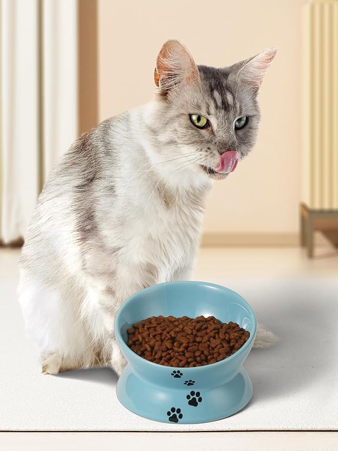 Y YHY Elevated Cat Food Bowl, Ceramic Raised Bowl, Tilt Angle Protects Cat's Spine, Anti Vomiting Dish, Backflow Prevention, Lake Blue - Image 7