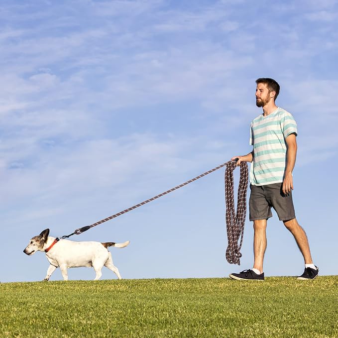 Long Dog Leash for Training 30Ft-Reflective Nylon Rope with Swivel Hook-Recall Agility Lead for Large Small Medium Dogs Outside Walking Hiking-Brown - Image 6