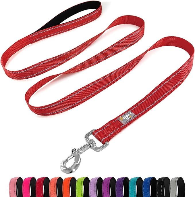6 FT Basic Dog Leash for Large Dogs,Red | Padded Handle,Metal D-Ring,Heavy Duty Nylon Webbing, for Walking & Training by Penseepet