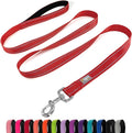 6 FT Basic Dog Leash for Small Dogs,Red | Padded Handle,Metal D-Ring,Heavy Duty Nylon Webbing, for Walking & Training by Penseepet
