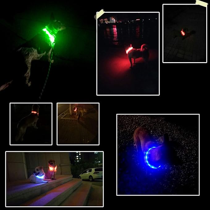LED Dog Collar,USB Rechargeable Glowing Dog Collars, Light Up Collar Improved Pet Safety &Visibility at Night, 3 Flashing Modes,Water-Resistant LED Lighted Fits for Small Medium Large Dogs - Image 3