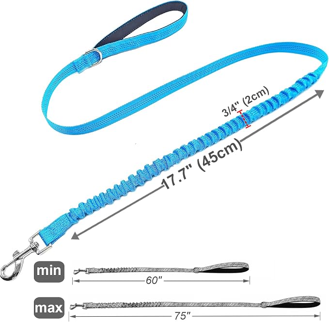 5FT Bungee Dog Leash Shock Absorbing Lightweight Small Medium Dogs | Reflective Nylon Lead- 2cm Wide- Soft Handle- Anti-Pull Training- 6 Colors - Image 4