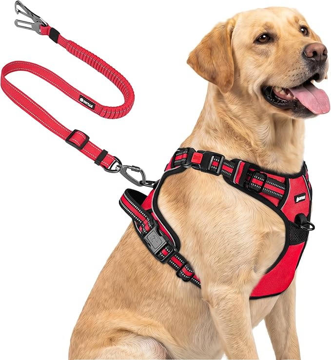Joytale No Pull Dog Harness & Seat Belt, Easy On 3-Buckle, L, Red | Front Clip Reduces Pulling, Escape-Resistant Design, Adjustable Fit, Soft Padding for Comfort, Secure Tether for Safer Travel by Joytale