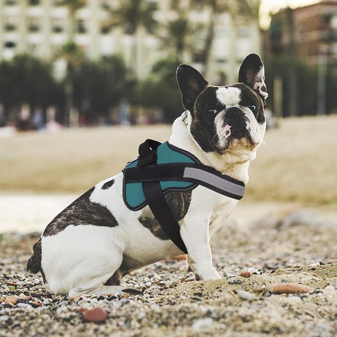 Dog Harness, No-Pull Reflective Dog Vest, Breathable Adjustable Pet Harness with Handle for Outdoor Walking - No More Pulling, Tugging or Choking (Turquoise, S) - Image 5