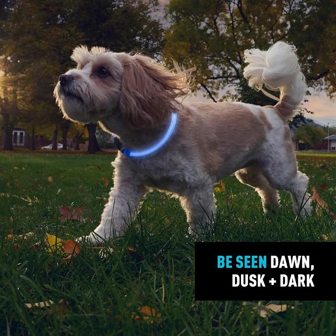 Nite Ize NiteHowl Rechargeable LED Safety Necklace - Dog Light for Dog-Walking Gear - Weather-Resistant Design - 5 Hours Runtime - Cut to Fit from 12” to 27” - Blue - Image 6