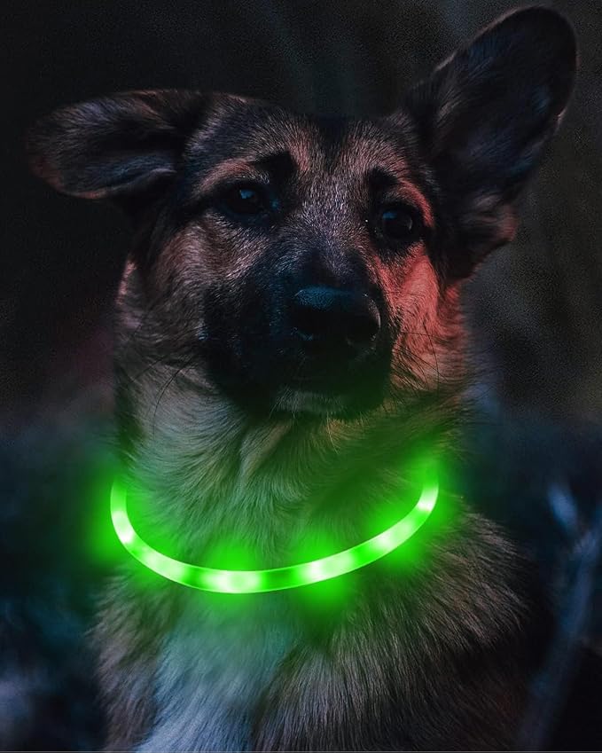 Joytale Light Up Dog Collar, LED Silicone Cut-to-Fit Rainproof, Green | Soft Skin-Friendly Won't Chafe, 360° Glow Keeps Dogs Visible at Night, 3 Modes, Rechargeable USB-C, Small Medium Large Dogs - Image 3