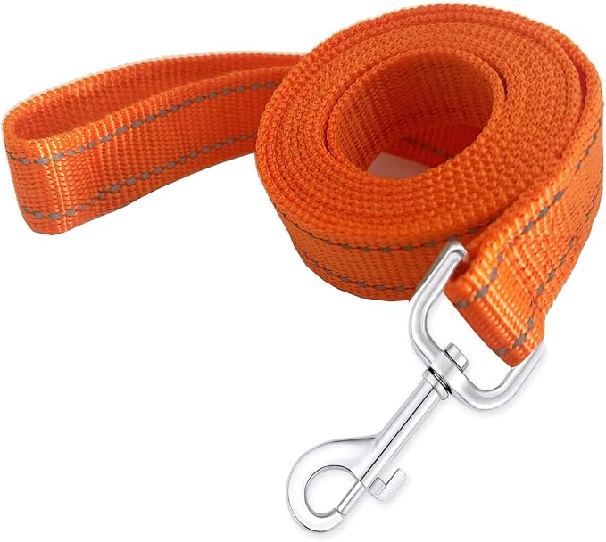 Reflective Dog Leash 4Ft /5 Foot /6 Feet Long, 1 Inch Wide, for Small and Medium Dogs by TAIDA