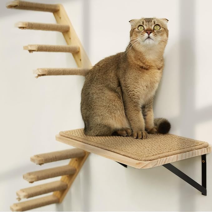 Strong Cat Shelves Stairs for Wall Mounted, 1P Cat Shelf& 2PCS 4 Steps Stairway with Sisal Rope Scratching for Cats Perch Platform, Wall Ladder Furniture by PELUOMOZ