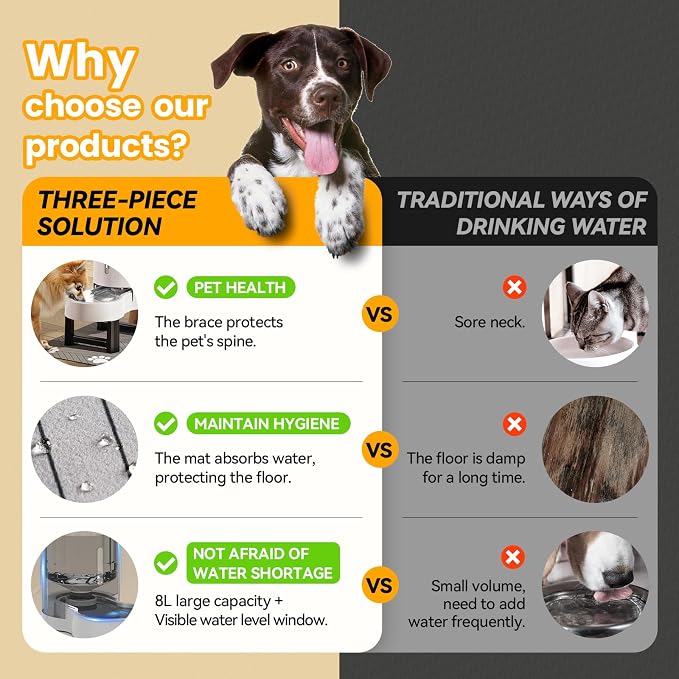 CZPET Elevated Dog Water Bowl Dispenser (8L+Stand+Mat, White) | With Stainless Steel Bowl Gravity Waterer, Large Capacity and Drinking Area Noise-Free for Pets - Image 2
