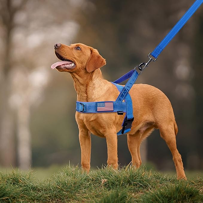 Annchwool No Pull Dog Harness with Padded Handle+5 Ft Leash,Reflective Strip Escape Proof and Quick Fit to Adjust Dog Harness,Easy for Training Walking for Small & Medium and Large Dogs(Blue-Set,S) - Image 6