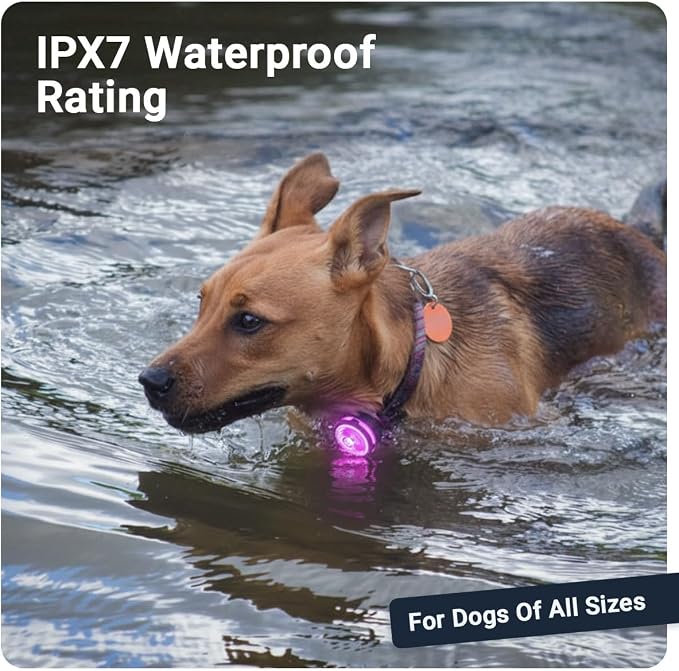 PAJ MINI Clip-On LED Dog Collar Light | USB Rechargeable - Waterproof - 7 Bright Colours - 8 Light Modes - Fit any Collar - Image 2