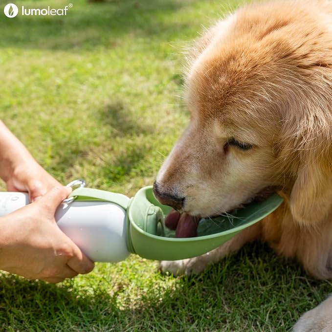 LumoLeaf Insulated Dog Water Bottle 27 oz Stainless Steel - Keep Water Cool or Warm, Portable Pet Water Bowl for Travel, Wide Mouth for Easy Ice Filling & Cleaning (Green, 27 oz) - Image 10