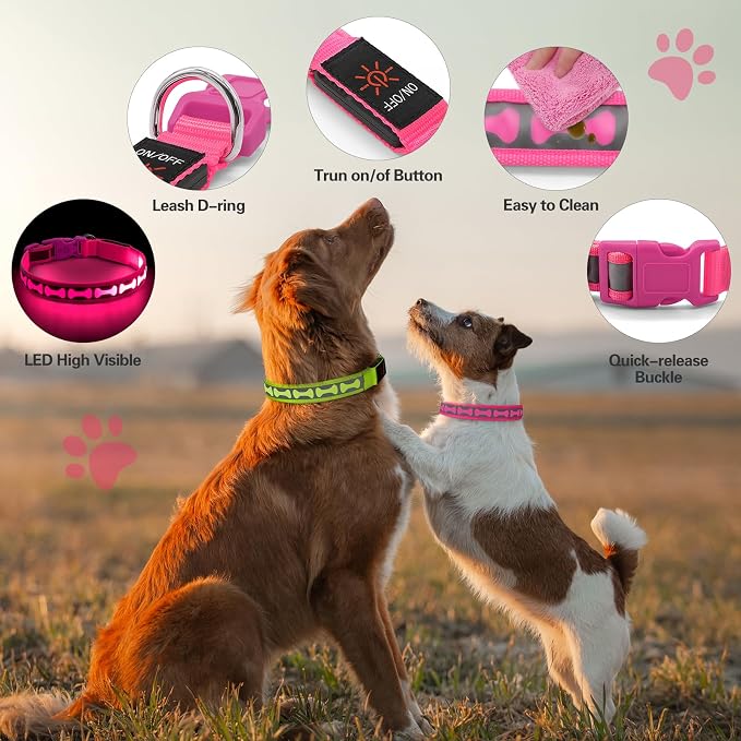 Flashseen LED Dog Collar Light Up USB-C Rechargeable, Pink, Small | Glow in the Dark Collar for Night Walking, Adjustable Waterproof Visibility Glowing Collars for Dogs - Image 3
