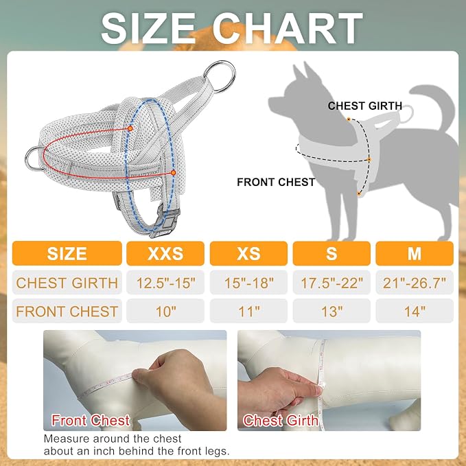 BEAUTYZOO Small Dog Harness and Leash Set, No Pull Step in Puppy Vest | Breathable Mesh with Handle, Reflective, Adjustable No Choke Escape Proof, Lightweight, Easy Control for Walking, Purple S - Image 5