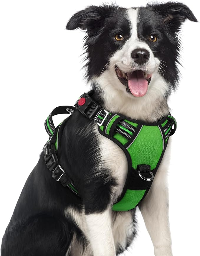 rabbitgoo Dog Harness Medium Sized, No Pull 3 Buckles Easy On & Off | Soft Padded, Walking with Control Handle, Adjustable and Reflective, Green, Medium by rabbitgoo