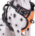 PoyPet No Pull Dog Harness Small, Reflective Vest with Front Clip & Handle | Easy On/Off, No Choke, Adjustable, 2 Leash D-rings, Soft Padded, Breathable, Oxford, for Walking Training, XS, Orange by PoyPet