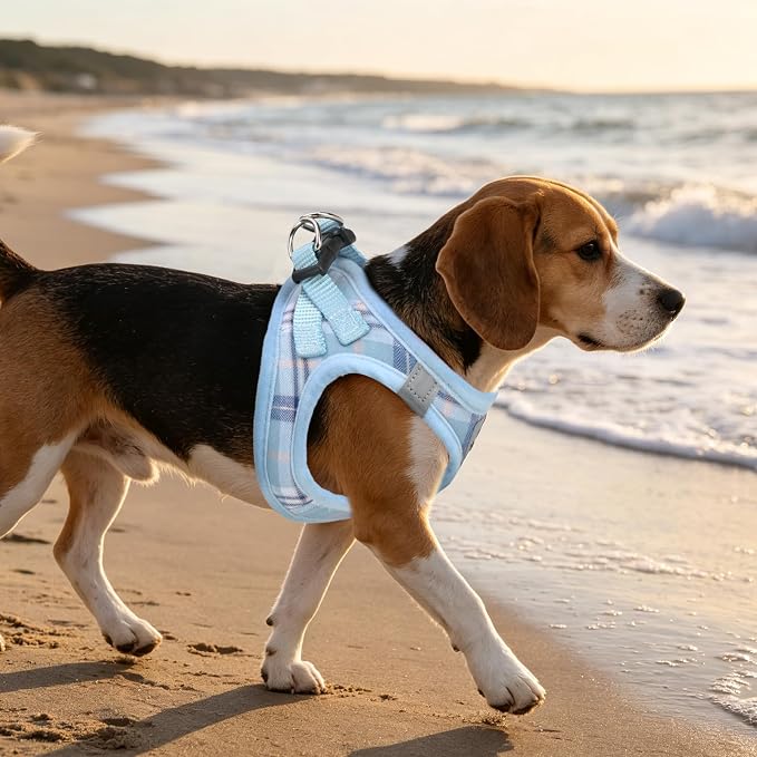 PUPTECK Dog Harness, Collar and Leash Set No Pull for Small Medium Sized | Plaid Puppy Step-in Escape Proof Reflective No Choke Pet Cat Adjustable Walking Vest - Image 9