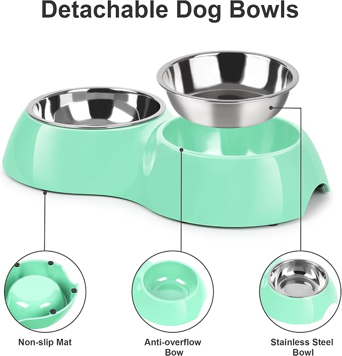 Stainless Steel Dog Bowls Set – Dual Non-Slip Pet Dishes with 2 Small (4oz*2) Bowls & Durable Resin Stand,Food & Water Feeder for Puppies, Kittens, and Small Breed Dogs - Green - Image 5
