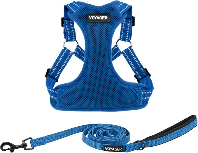 Best Pet Supplies Voyager Adjustable Step-in Flex Breathable Mesh Dog Harness for Small Medium Large Dogs Leash Set (Royal Blue), XS by BestPetSuppliesLLC