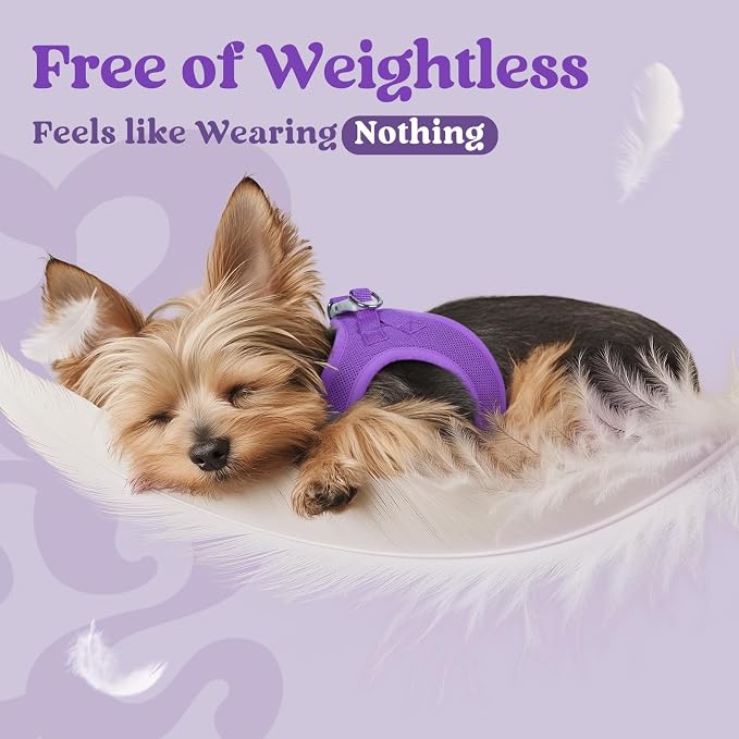 rabbitgoo Step-in Small Dog Harness, Puppy Vest for Small Medium Sized Pet | Easy Put on and off, Lightweight, Soft, Breathable Quick-Dry Air Mesh for Comfortable Secure Walking, Purple XL - Image 4