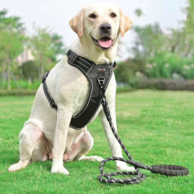 tobeDRI No Pull Dog Harness Adjustable Reflective Oxford Easy Control Medium Large Dog Harness with A Free Heavy Duty 5ft Dog Leash, Black/Red, L - Image 4