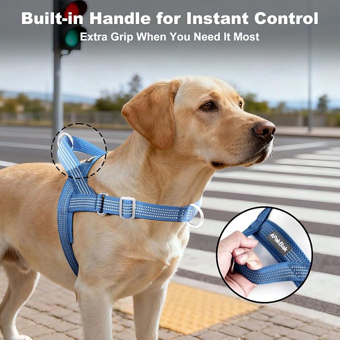 No Pull Dog Harness with Handle, Adjustable Soft Mesh Padded Vest | Reflective Walking Harness with Front Clip for Small Medium Large Dogs, Quick Fit No Escape for Training, Blue, L - Image 3
