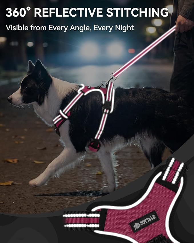 Joytale No Pull Dog Harness & Seat Belt, Easy On 3-Buckle, S, Hot Pink | Front Clip Reduces Pulling, Escape-Resistant Design, Adjustable Fit, Soft Padding for Comfort, Secure Tether for Safer Travel - Image 6