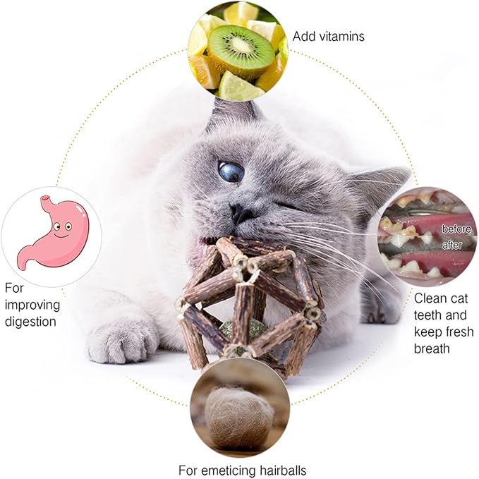Gochanmon Catnip Toys-2Pcs Natural Silvervine Stick Catnip Ball&Bell Ball-Cat Toys for Indoor Cats- Cleaning Teeth Molar Tools Matatabi Cat Chew Toy-Kitten Toys All Breeds - Image 2