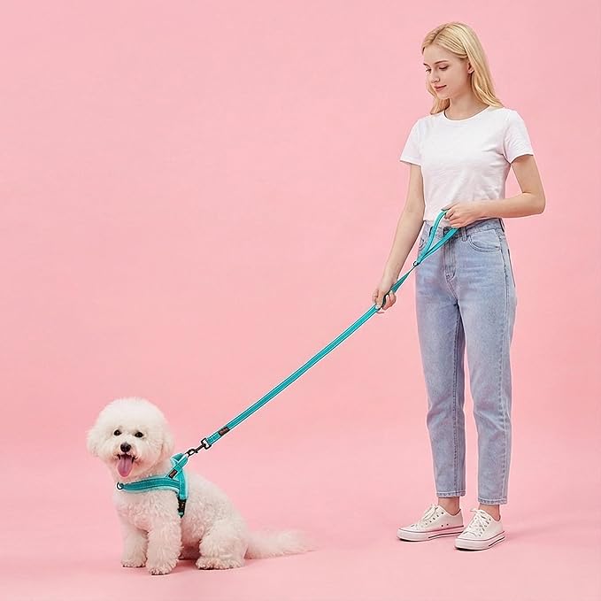 Didog 6FT Reflective Dog Leash for Small Medium Dogs, Slim 5/8" Width, Teal | Soft Padded Handle, Plush Comfort Grip, Tangle-Free, 360° Swivel Clasp for Daily Walking and Training, Night Safety - Image 3