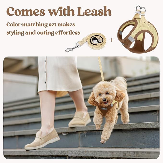 rabbitgoo Dog Harness Small Sized and Leash Set, Step-in Puppy Pet Vest | Light, Soft, Breathable Air Mesh, Easy on and Remove with Hook & Loop, Secure Reflective for Walking, Brown & Beige S - Image 5