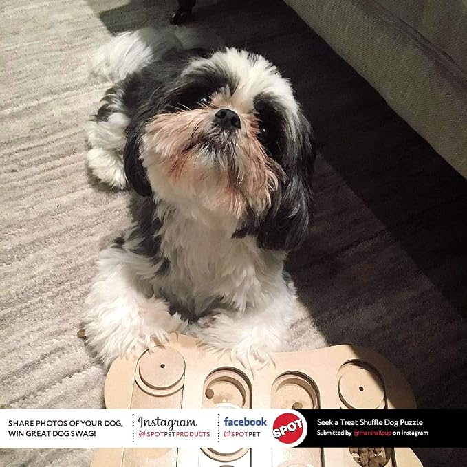 SPOT Interactive Seek-A-Treat Shuffle Bone Dog Toy Puzzle | Dog Treat Reward Toy Improves Your Dog's IQ | Specially Designed for Training Treats - Image 6