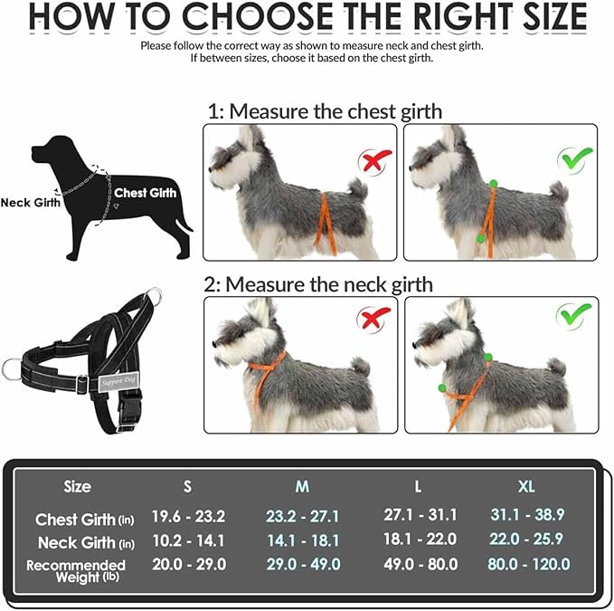 Lukovee No Pull Dog Harness and Leash Set, Soft Padded Vest with Front Clip | Adjustable, No Choke, Reflective,Durable Easy Control Pet Vest Harness for Safe Walking for Medium Large Dogs (Black, XL) - Image 5