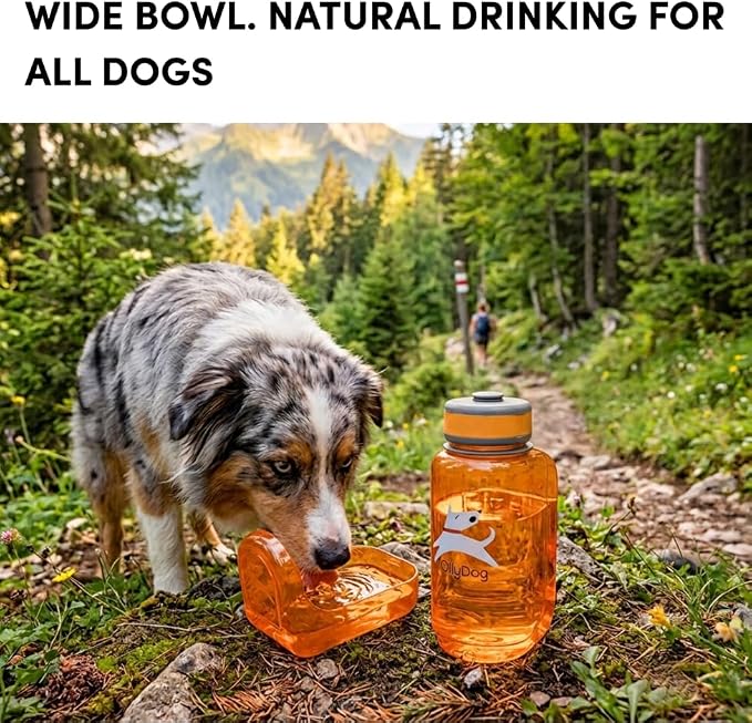 OllyDog OllyBottle, Dog Water Bottle, Pet Water Dispenser with Detachable Bowl, Pet Accessories for Outdoor Walking, Hiking, Travel (600ml, Flame) - Image 4