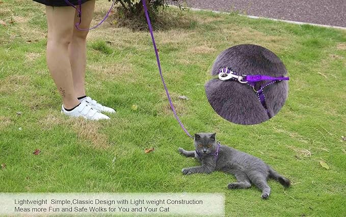 AMAGOOD 6 FT Puppy/Leash, Strong Traditional Style with Easy to Use Collar Hook, Great for Small, Medium and Large Dogs (5/8in x 6 ft, Purple) - Image 3