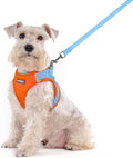 rabbitgoo Dog Harness Medium Sized and Leash Set, Step-in Puppy Pet Vest | Light, Soft, Breathable Air Mesh, Easy on and Remove with Hook & Loop, Secure Reflective for Walking, Blue & Orange XXL by rabbitgoo
