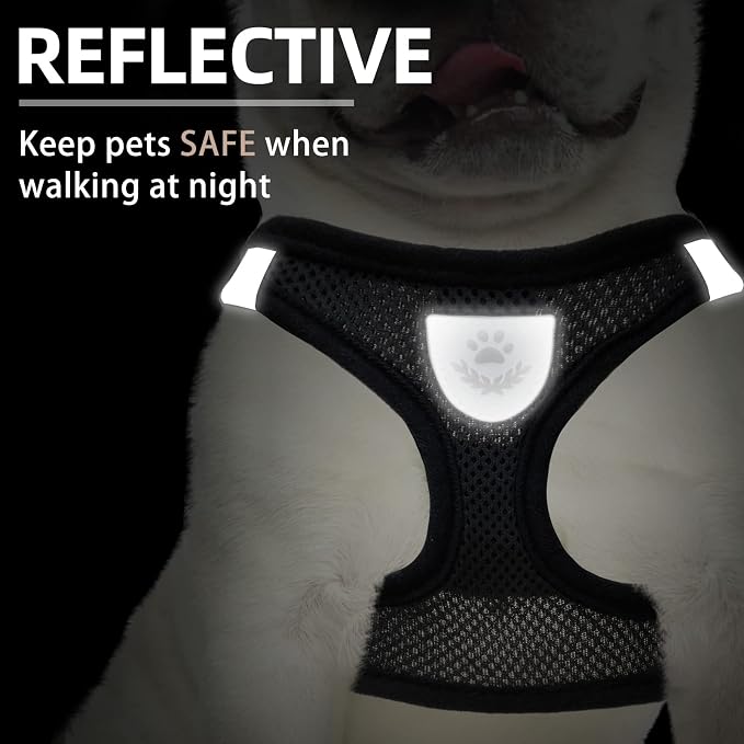 PUPTECK Dog Harness, Collar and Leash Set No Pull for Small Medium Sized | Soft Mesh Puppy Step-in Escape Proof Reflective No Choke Pet Cat Adjustable Walking Vest - Image 5