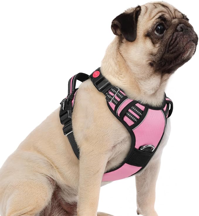 rabbitgoo Dog Harness Small Sized, No Pull 3 Buckles Easy On & Off | Soft Padded, Walking with Control Handle, Adjustable and Reflective, Light Pink, Small by rabbitgoo