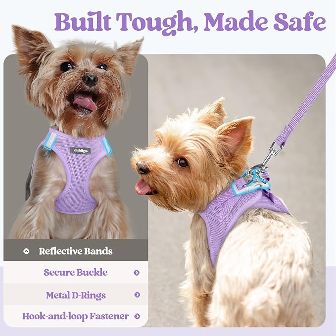 rabbitgoo Dog Harness Medium Sized and Leash Set, Step-in Puppy Pet Vest | Light, Soft, Breathable Air Mesh, Easy on and Remove with Hook & Loop, Secure Reflective for Walking, Light Purple XXL - Image 7