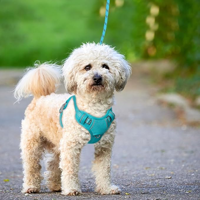 BARKBAY No Pull Dog Harness Large Reflective Dog Harness with Front Clip and Easy Control Handle for Walking Training Running with ID tag Pocket(Ocean Blue,S) - Image 9