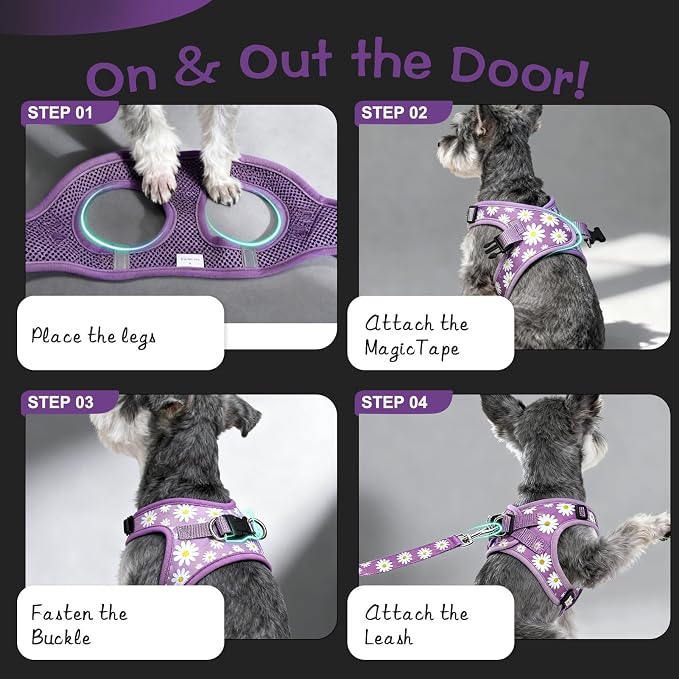 Small Dog Harness and Leash Set - Cute Spring Puppy Harness Leash Dog Collar with AirTag Holder Silicone Case, Soft Padded Step in Pet Vest Reflective for Outdoor Walking, Purple Daisy M - Image 3