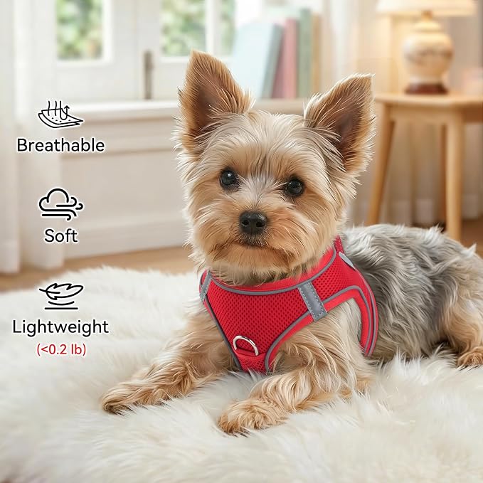 Joytale Step-in Dog Harness, Soft Breathable Mesh, Red M | Adjustable Fit for Small Dogs, Easy Step-in with Secure Fastener, Even Chest Pressure, Reflective For Night Safety, Washable - Image 4