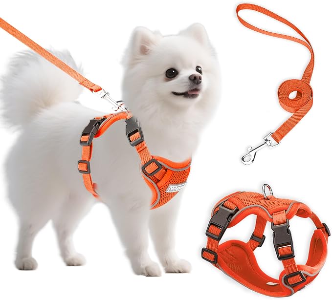 Small Dog Harness and Leash Set, Adjustable Small Sized Pet Vest | Reflective Soft Breathable Mesh, 3 Buckles, Adjustable Neck and Chest, Easy on and Comfortable Secure Walking, Orange, S by Unknown