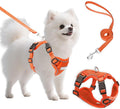 Small Dog Harness and Leash Set, Adjustable Small Sized Pet Vest | Reflective Soft Breathable Mesh, 3 Buckles, Adjustable Neck and Chest, Easy on and Comfortable Secure Walking, Orange, S by Unknown