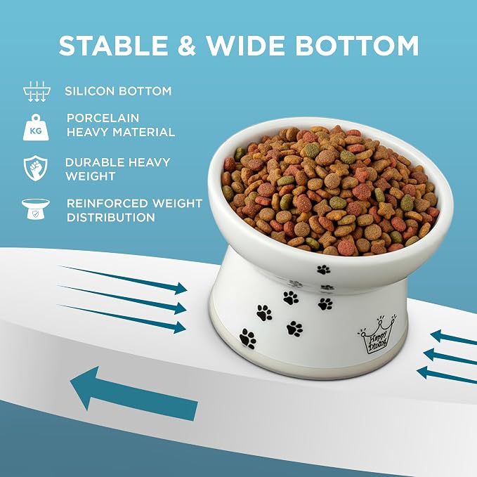 Necoichi Ceramic Raised Cat Food Bowl, Whisker-Friendly (Cats, Large Flat) - Image 6