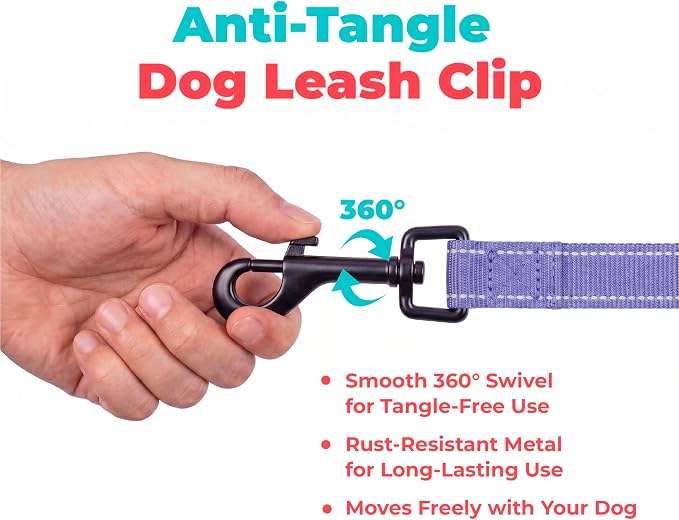 Best Pet Supplies Voyager Nylon Dog Leash - Lavender, Medium | 5ft in Length, 3/4" in Width, Reflective, Soft Neoprene Handle, Heavy Duty Metal Clips for Running, Walking & Training - Image 7