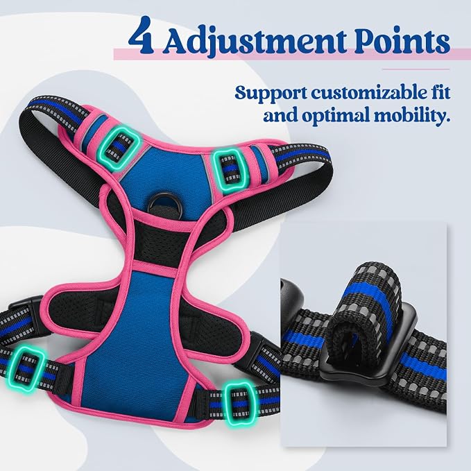 rabbitgoo Dog Harness, No Pull Medium Sized with 2 Leash Clips, Pet Vest | No Choke with Handle, Adjustable Soft Padded, Reflective, Easy Control for Walking, Blue & Hot Pink, Medium - Image 4